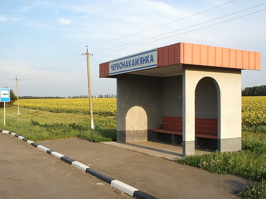 Зелений Барвінок з panoramio.com - Зеленый Барвинок