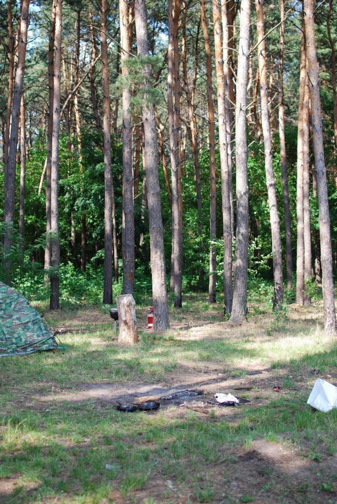 Новоархангельськ з panoramio.com - Новоархангельськ