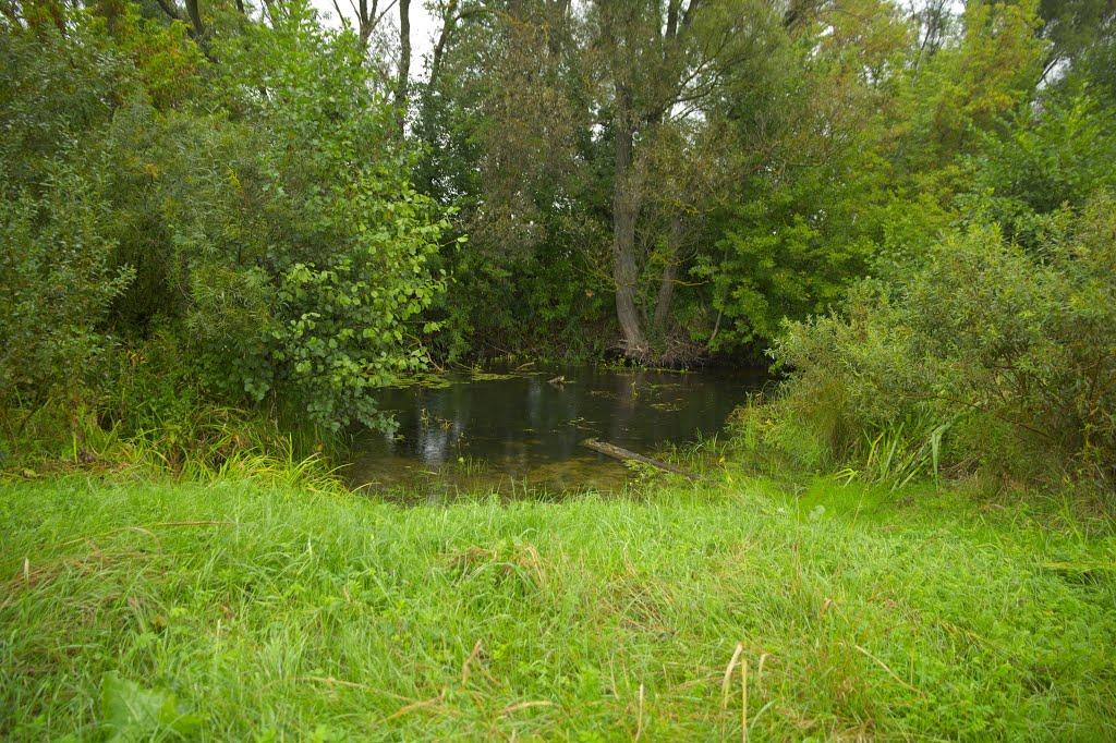 Холодне з panoramio.com - Холодне