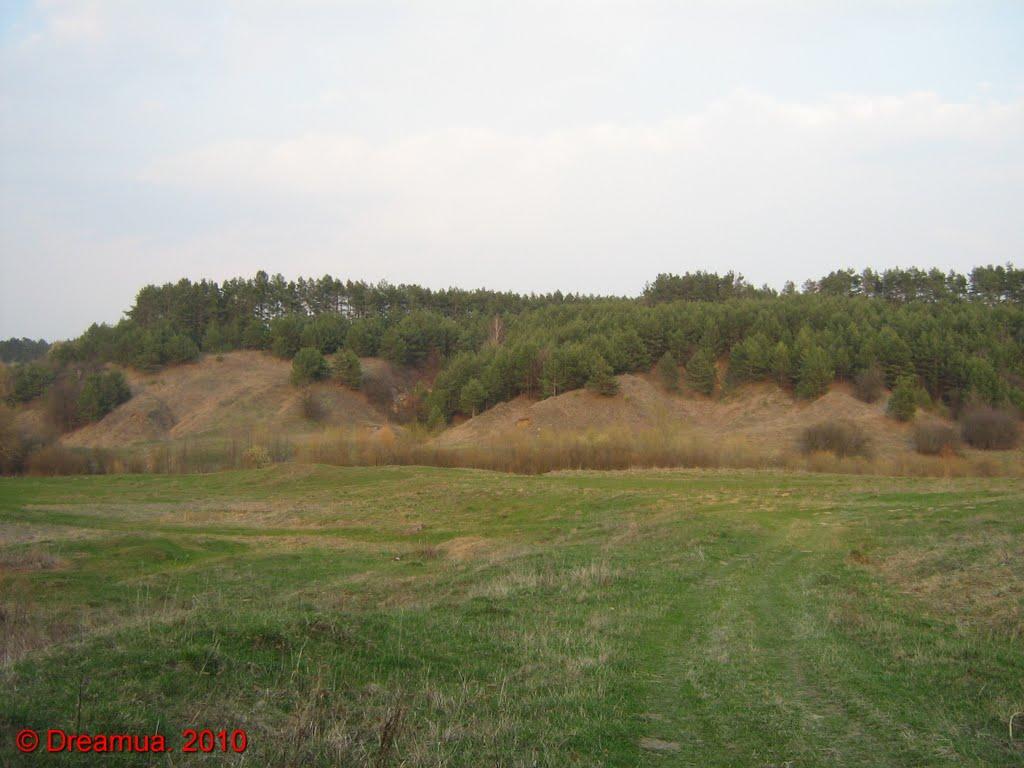 Черешенька з panoramio.com - Черешенька