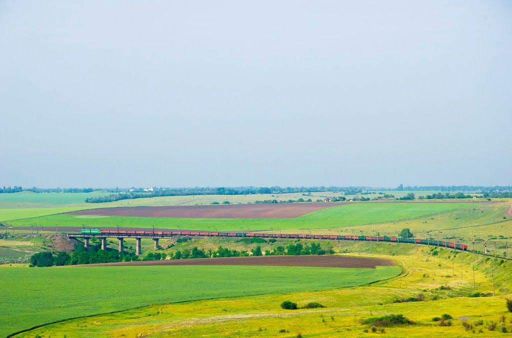 Стародобровільське з panoramio.com - Стародобровільське