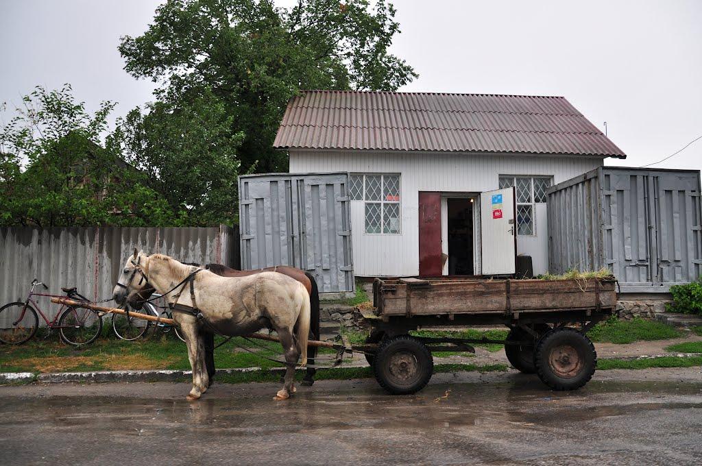 Городище-Пустоварівське з panoramio.com - Gorodysche-Pustovarivske