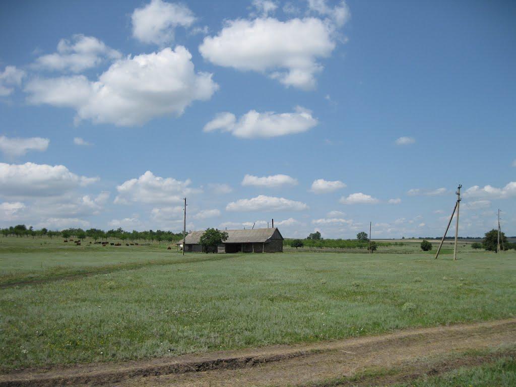 Лісне з panoramio.com - Лісне