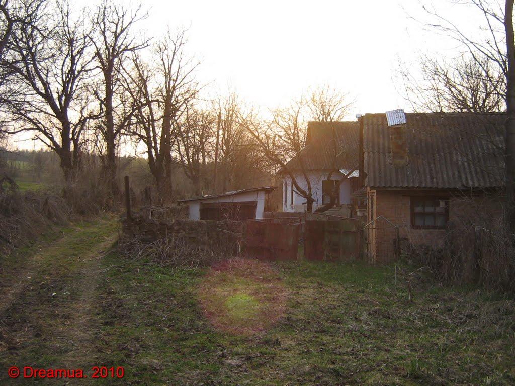 Черешенька з panoramio.com - Черешенька