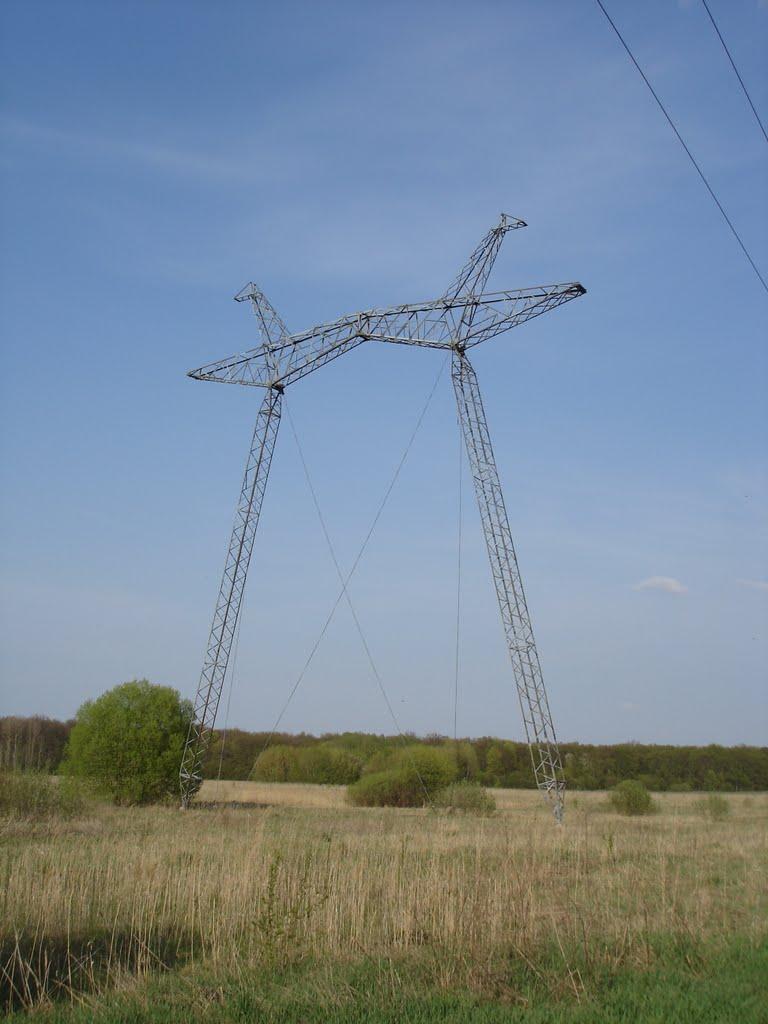 Червона Зірка з panoramio.com - Червона Зірка