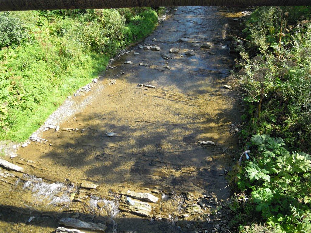 Нижні Ворота з panoramio.com - Нижні Ворота