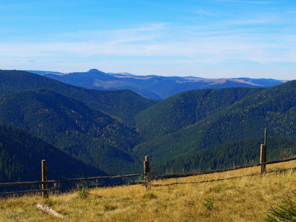 Випчина з panoramio.com - Випчина