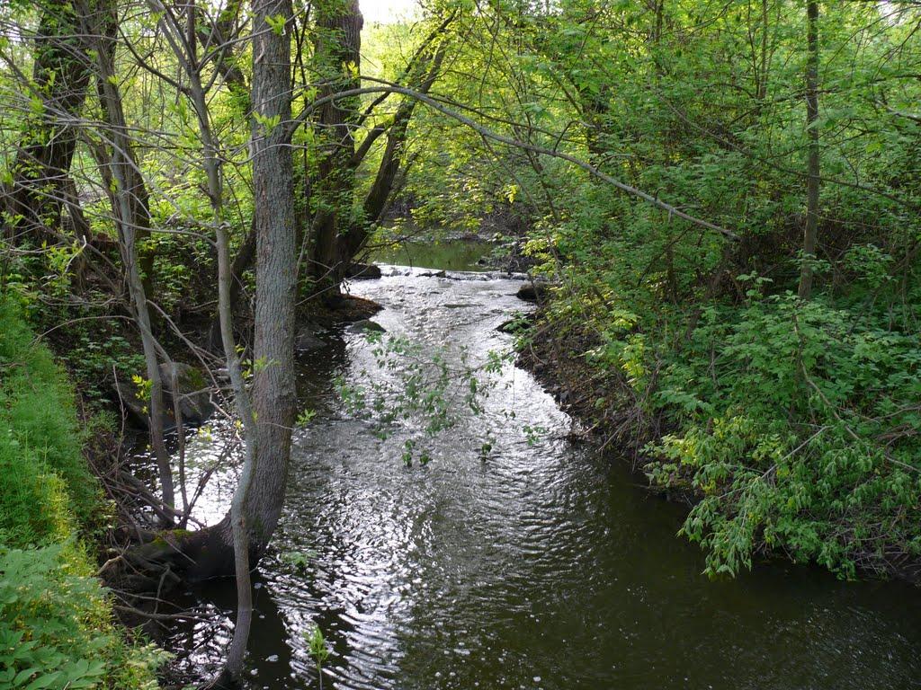 Пустовіти з panoramio.com - Пустовіти