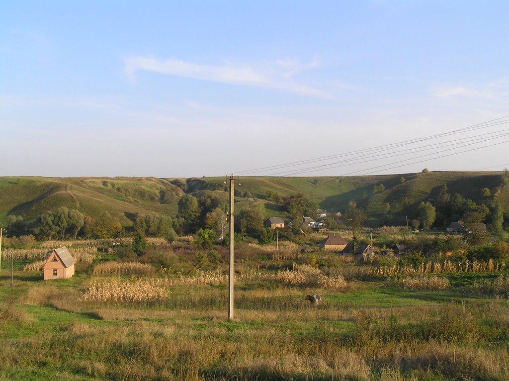 Кононівка з panoramio.com - Кононівка