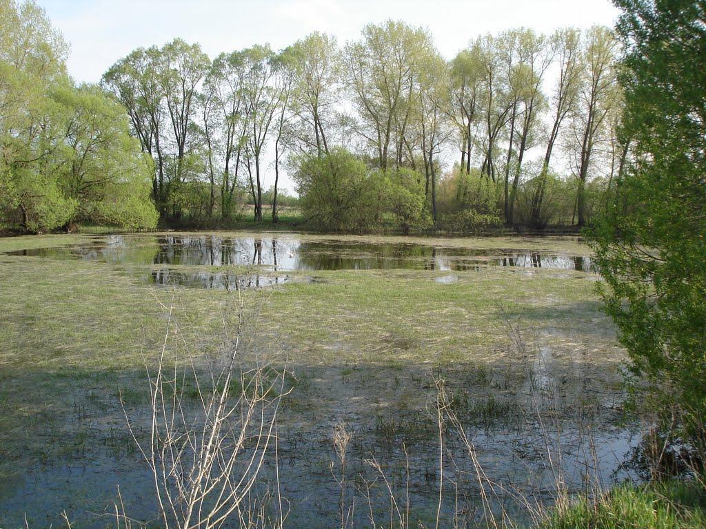 Червона Зірка з panoramio.com - Червона Зірка