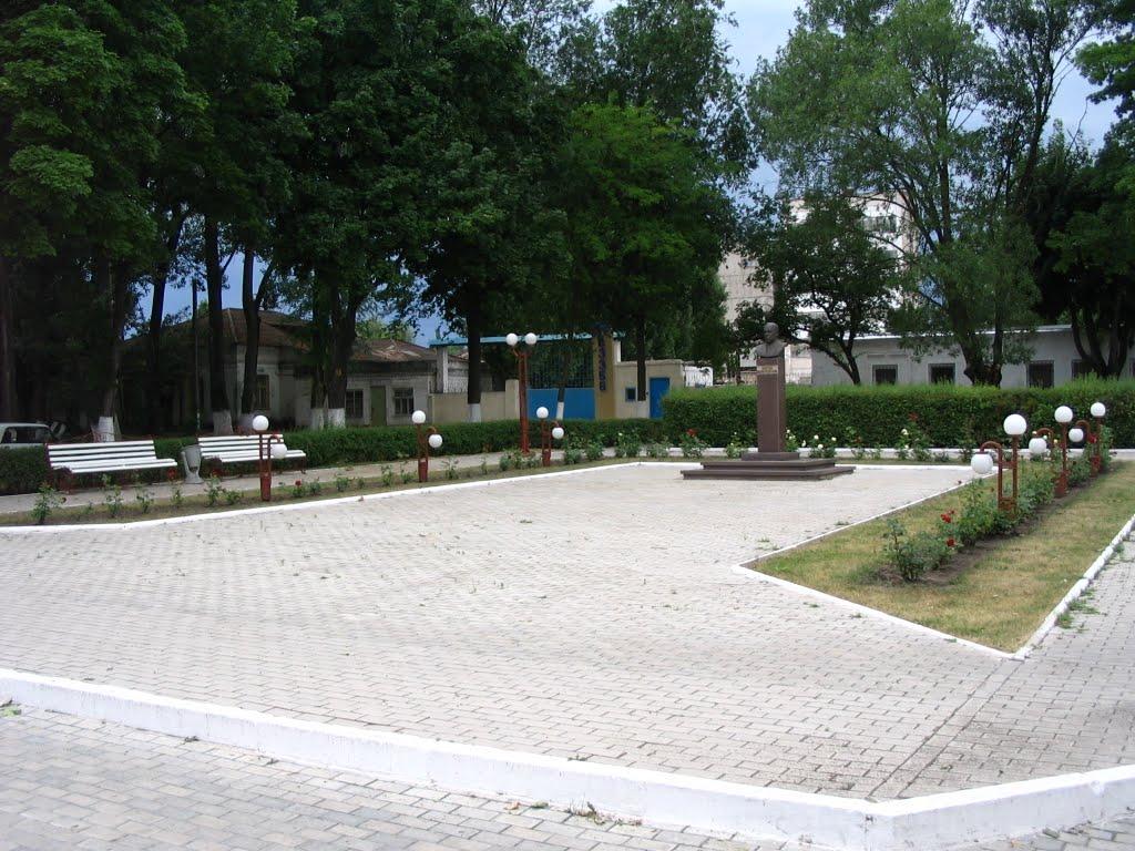 Вільногірськ з panoramio.com - Вільногірськ