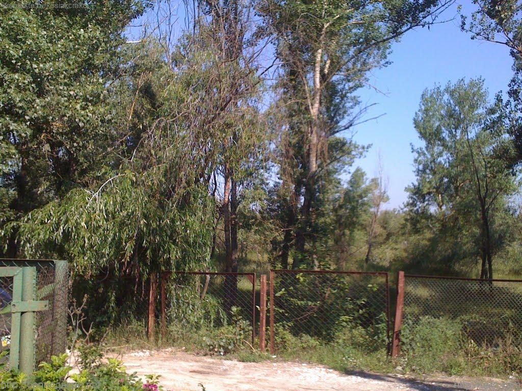 Новосілки з panoramio.com - Новосілки