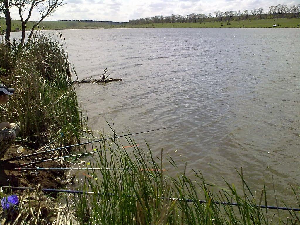 Тернова Балка з panoramio.com - Терновая Балка