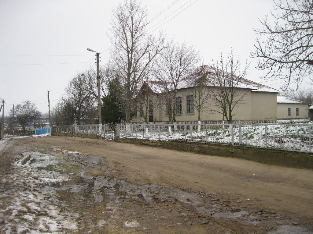 Олександрівка з panoramio.com - Олександрівка