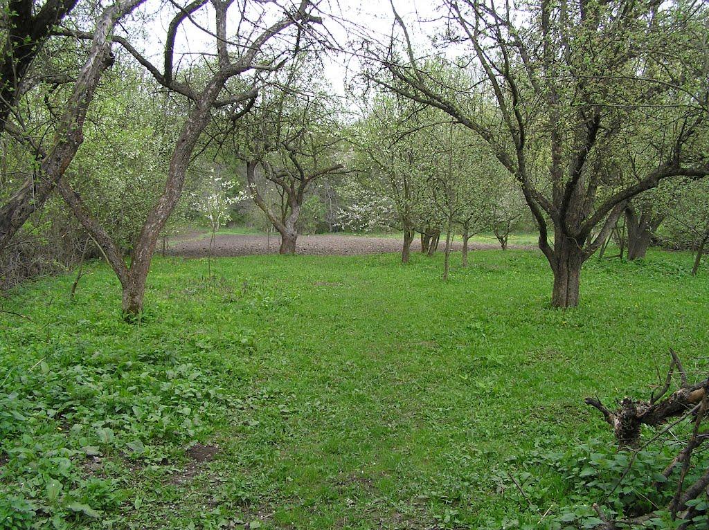 Копай з panoramio.com - Копай