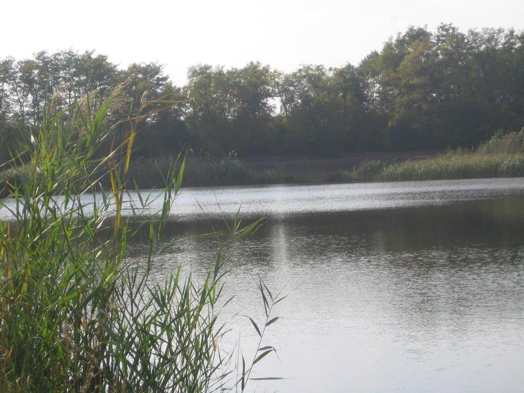 Арбузинка з panoramio.com - Арбузинка