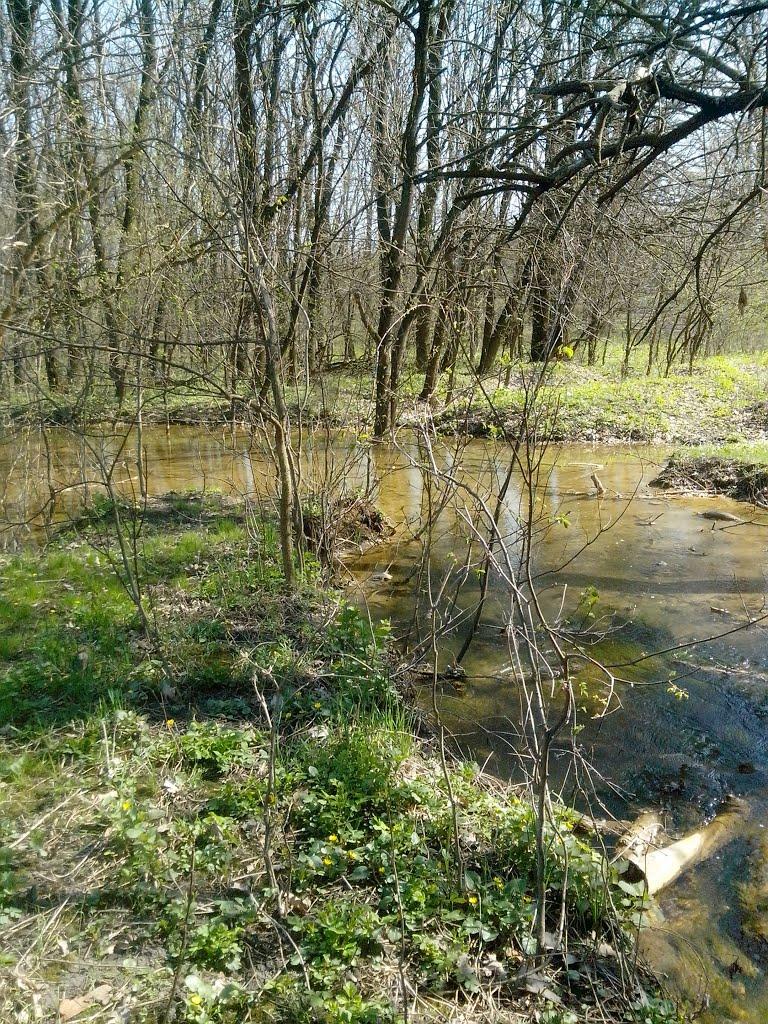 Лисичанськ з panoramio.com (ч.3) - Lysychansk