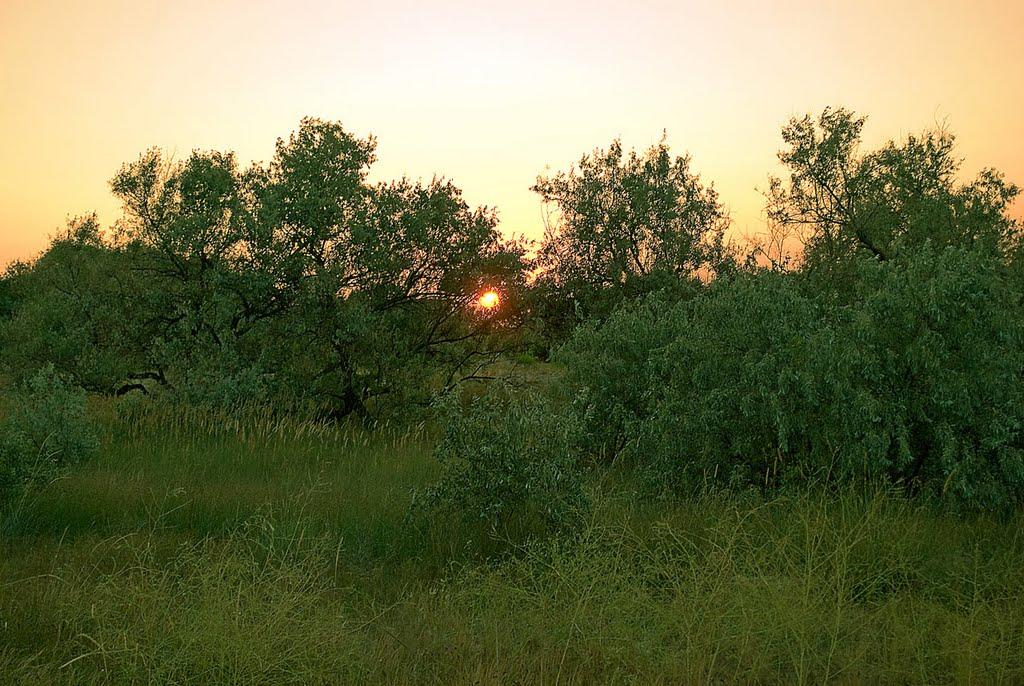 Бердянськ з panoramio.com (ч.3) - Berdyansk