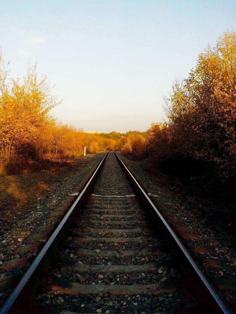 Лисичанськ з panoramio.com (ч.3) - Lysychansk