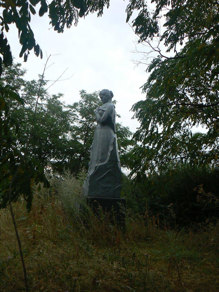 Старомлинівка з panoramio.com - Старомлинівка