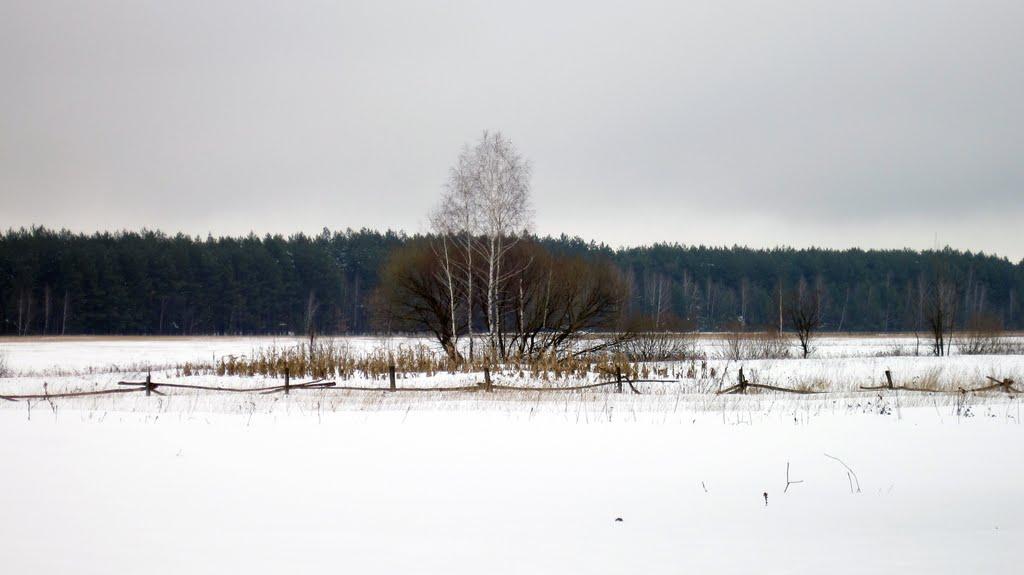 Діброво-Ленінське з panoramio.com - Dibrovo-Leninske