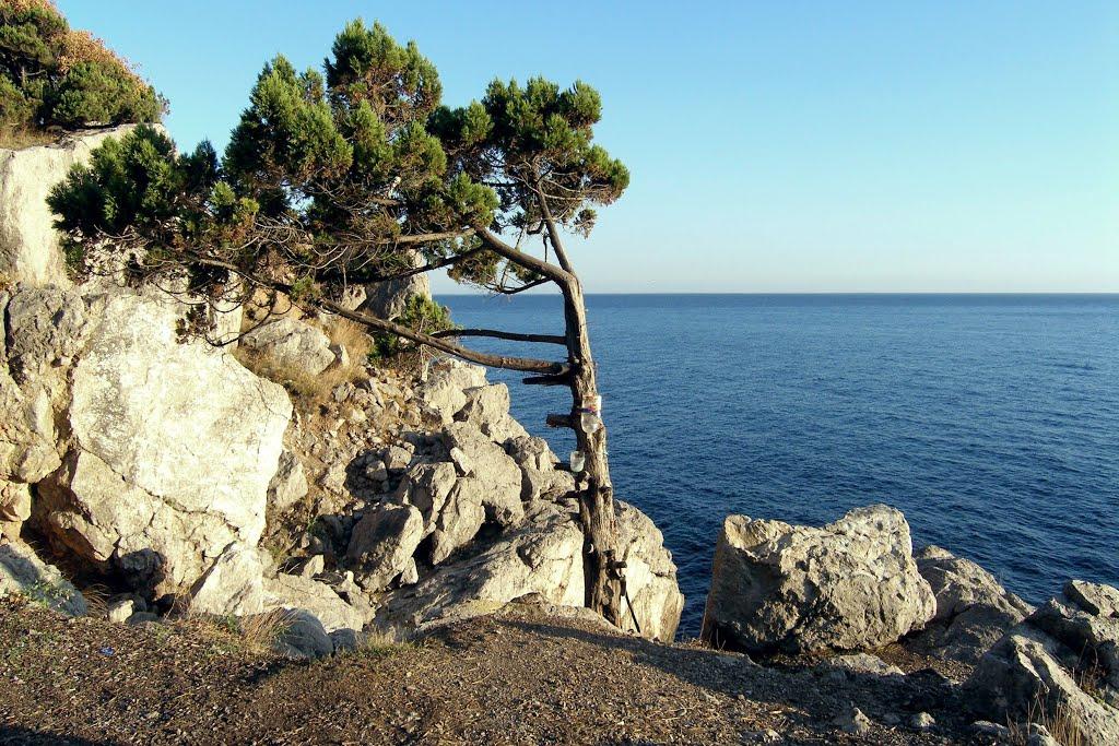 Кизилове з panoramio.com - Кизилове