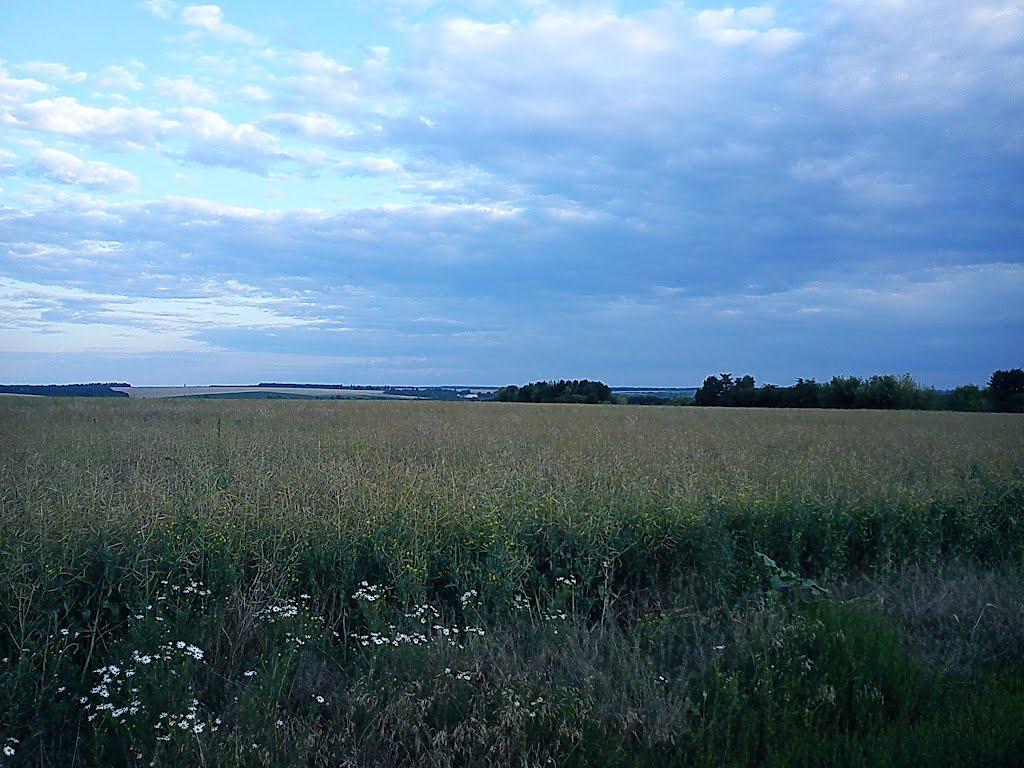 Долинівка з panoramio.com - Долинівка