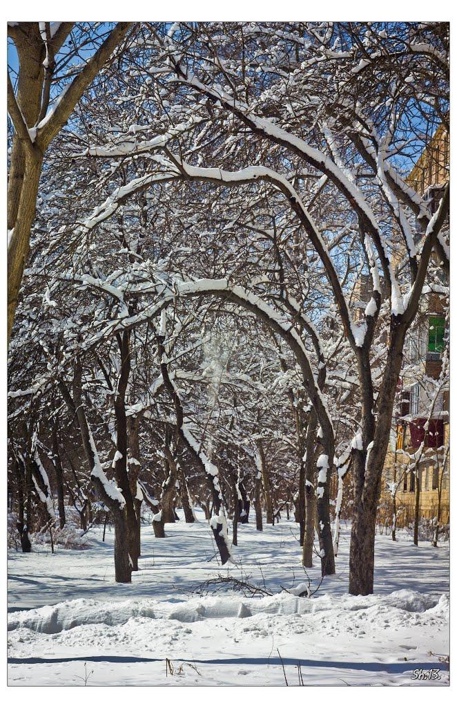 Рівне з panoramio.com (ч.5) - Ровно