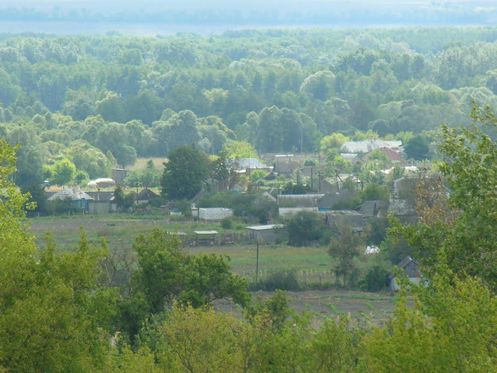Олександрія з panoramio.com - Александрия