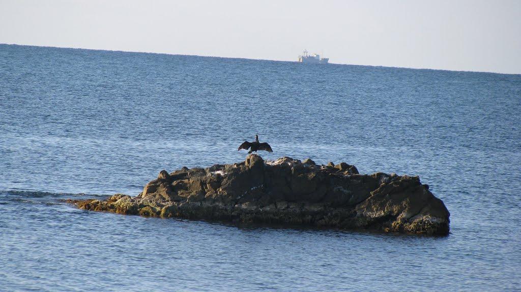 Морське з panoramio.com (ч.2) - Морское