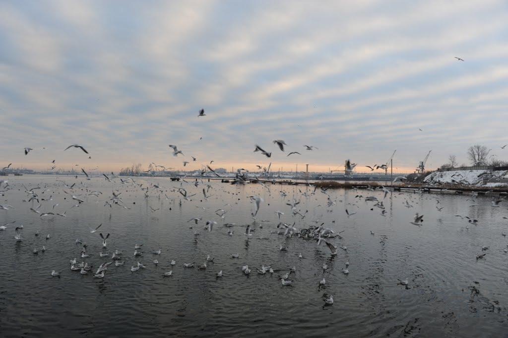 Олександрівка з panoramio.com - Oleksandrivka