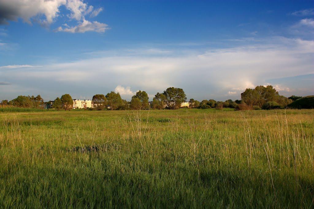 Плетенівка з panoramio.com - Плетенівка