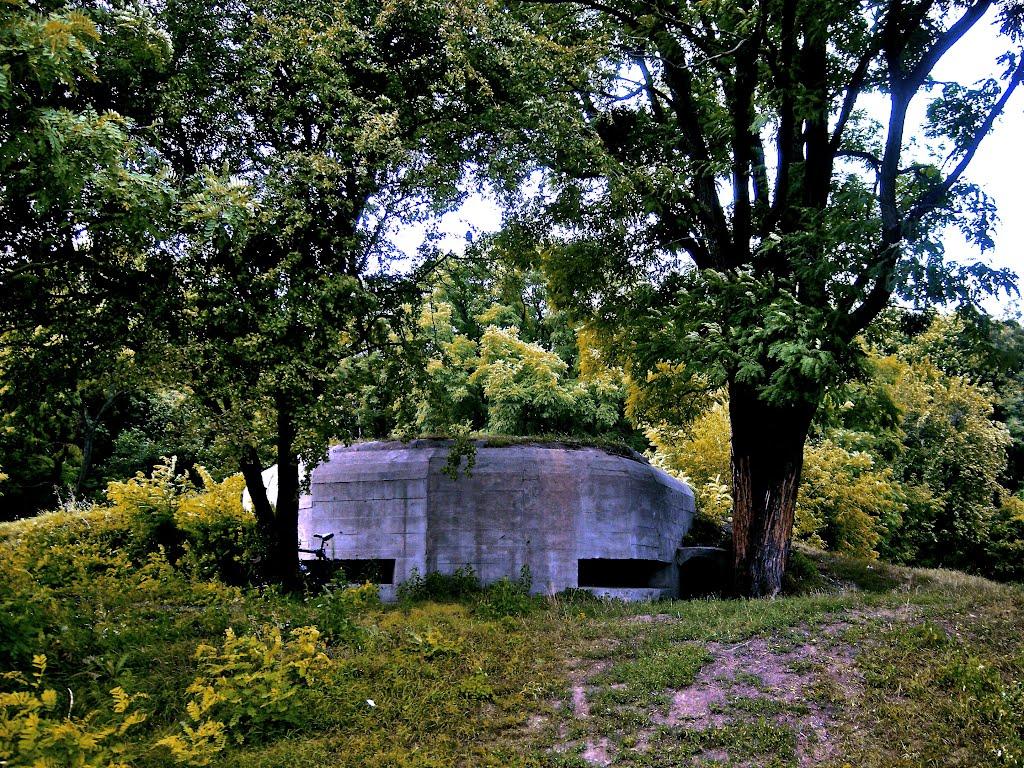 Білогородка з panoramio.com - Bilogorodka