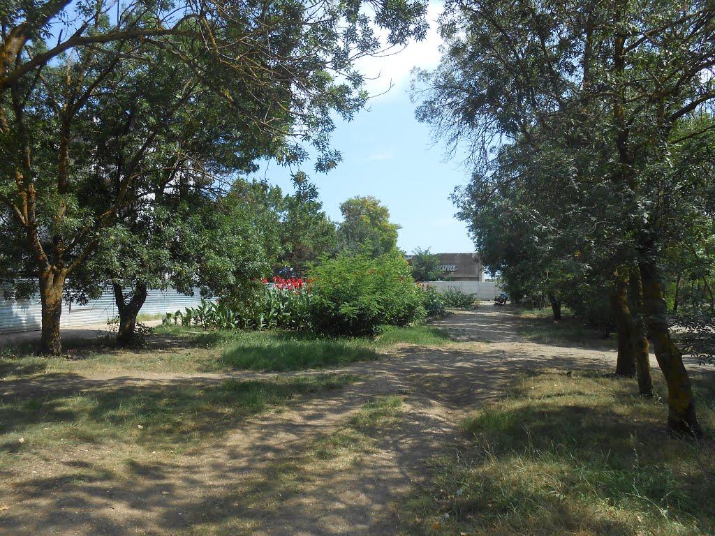 Приморський з panoramio.com (ч.2) - Приморський