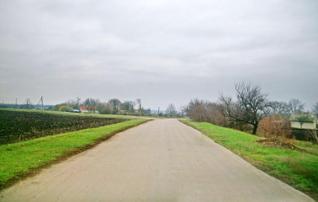 Тернова Балка з panoramio.com - Терновая Балка