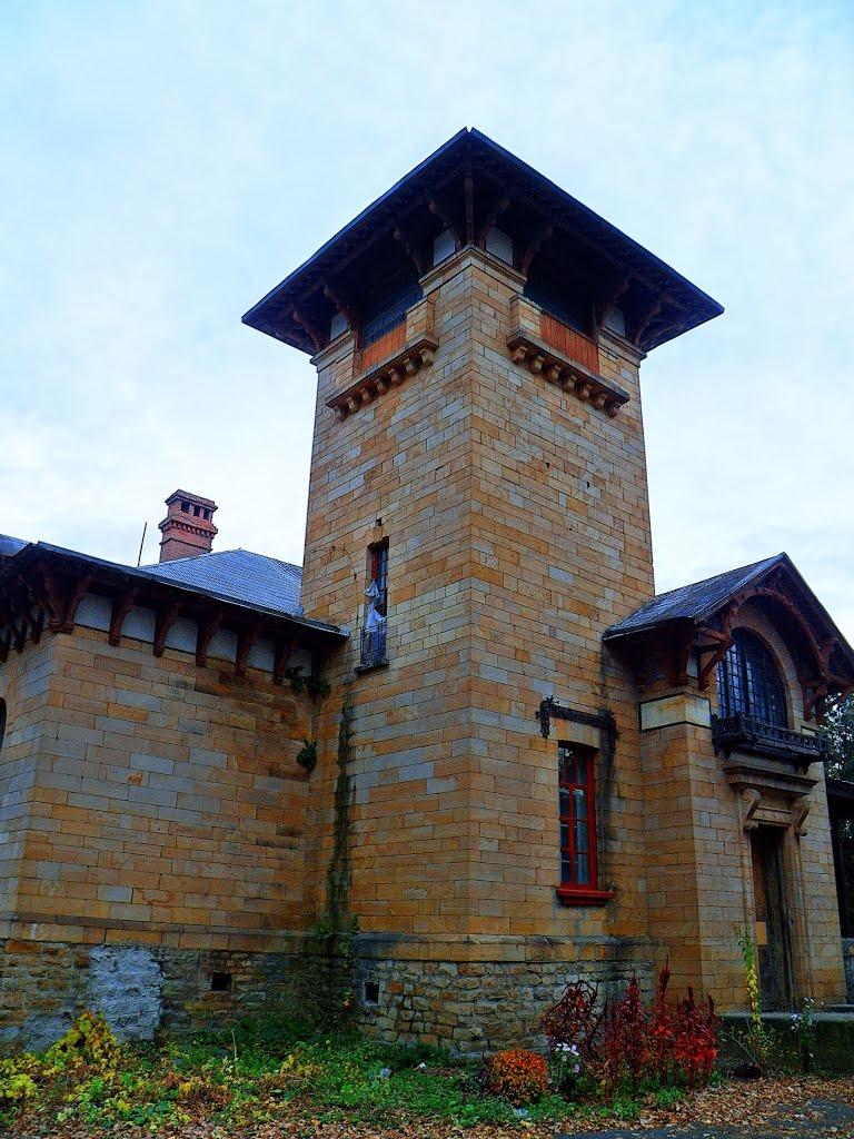 Селезнівка з panoramio.com - Селезнівка