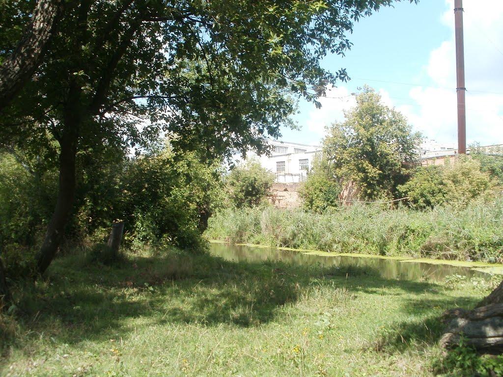 Гайсин з panoramio.com (ч.3) - Гайсин