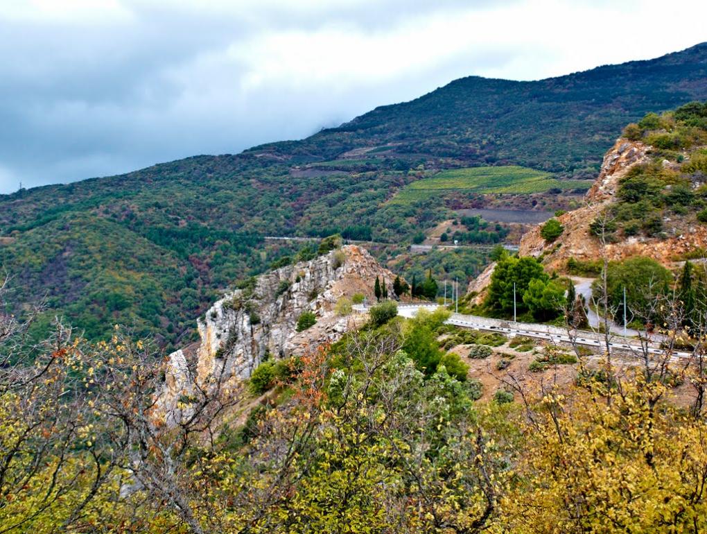 Голуба Затока з panoramio.com (ч.2) - Голубая Затока