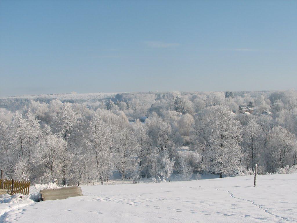 Черешенька з panoramio.com - Черешенька