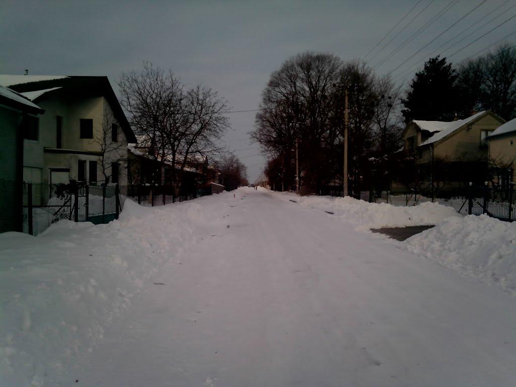 Рудне з panoramio.com - Рудне