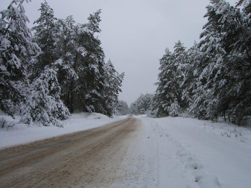 Мартинівка з panoramio.com - Мартыновка