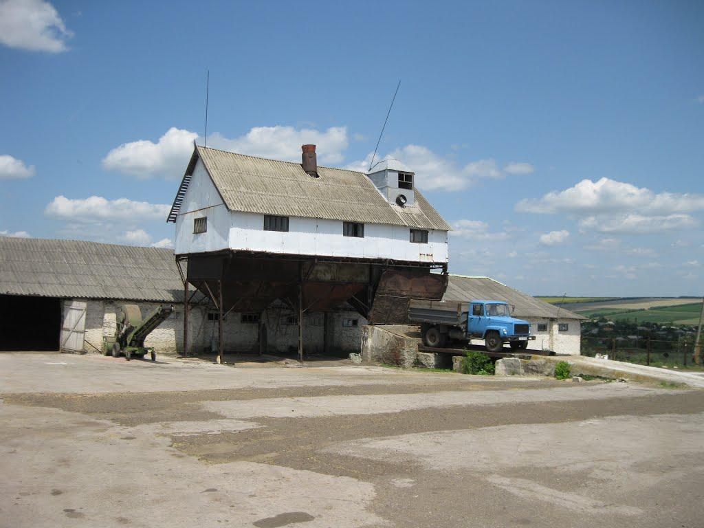 Лісне з panoramio.com - Лісне