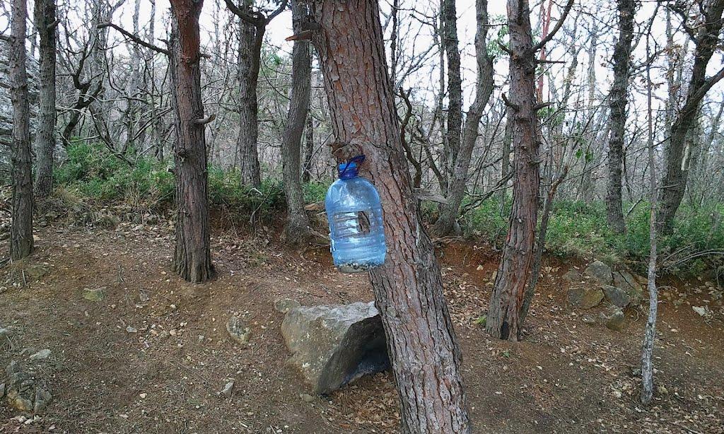 Гаспра з panoramio.com (ч.2) - Гаспра