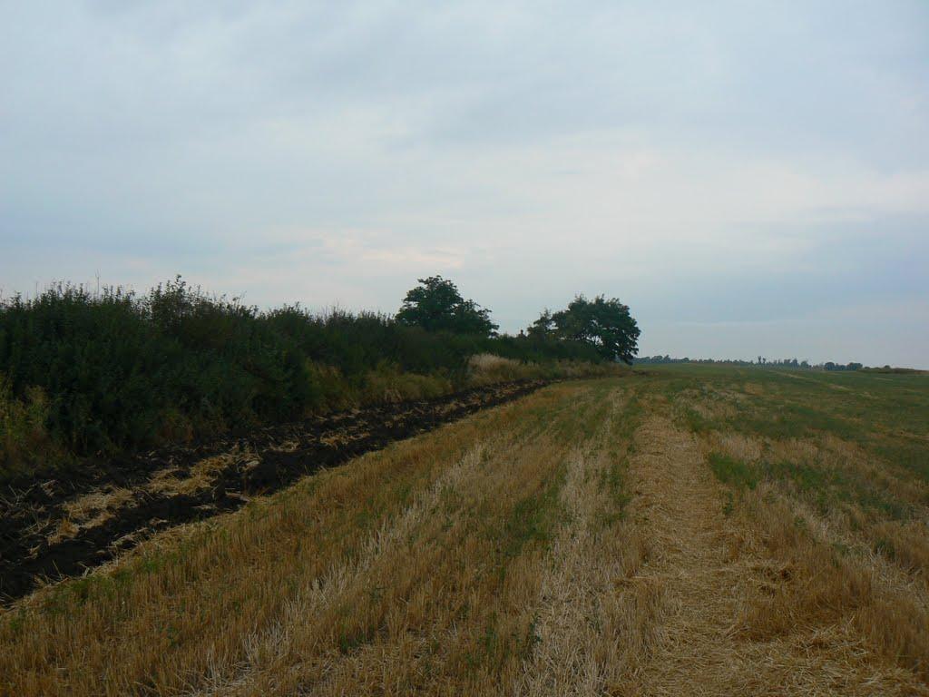 Старомлинівка з panoramio.com - Старомлинівка