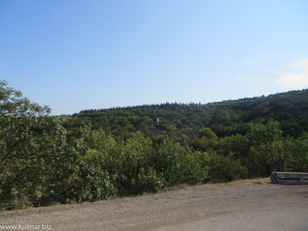 Сонячногірське з panoramio.com - Сонячногірське