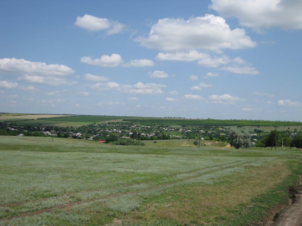 Олександрівка з panoramio.com - Олександрівка
