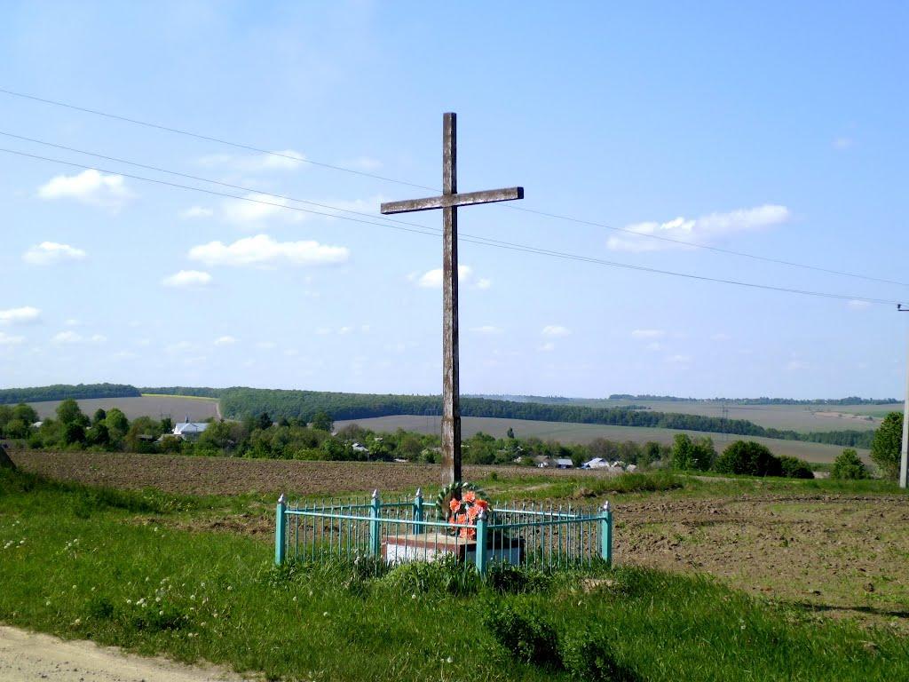 Козарівка з panoramio.com - Козарівка