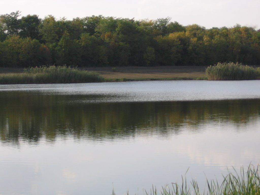 Арбузинка з panoramio.com - Арбузинка