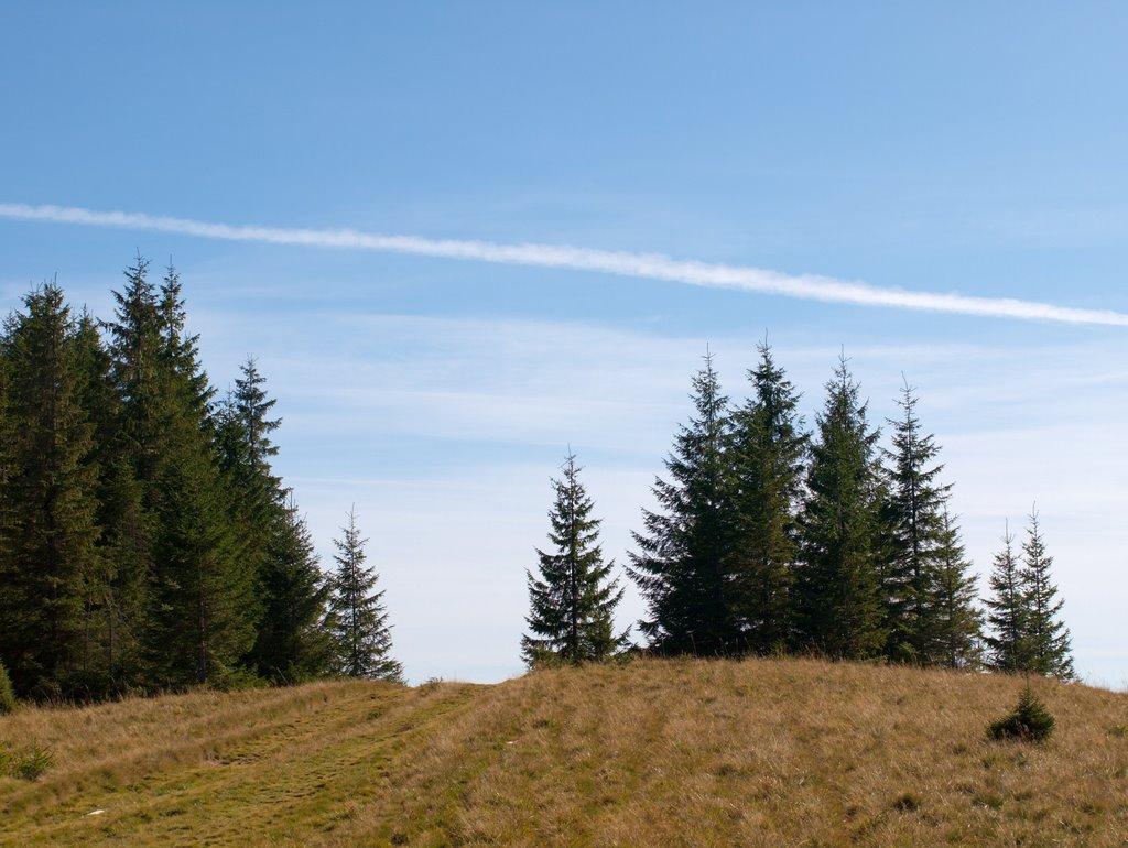 Випчина з panoramio.com - Випчина