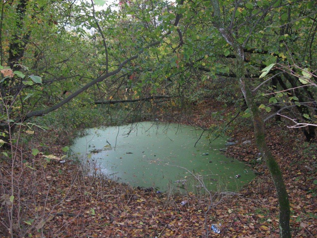 Новомосковськ з panoramio.com (ч.3) - Новомосковск